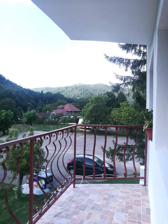 Pensiunea Costesti Zewnętrze zdjęcie