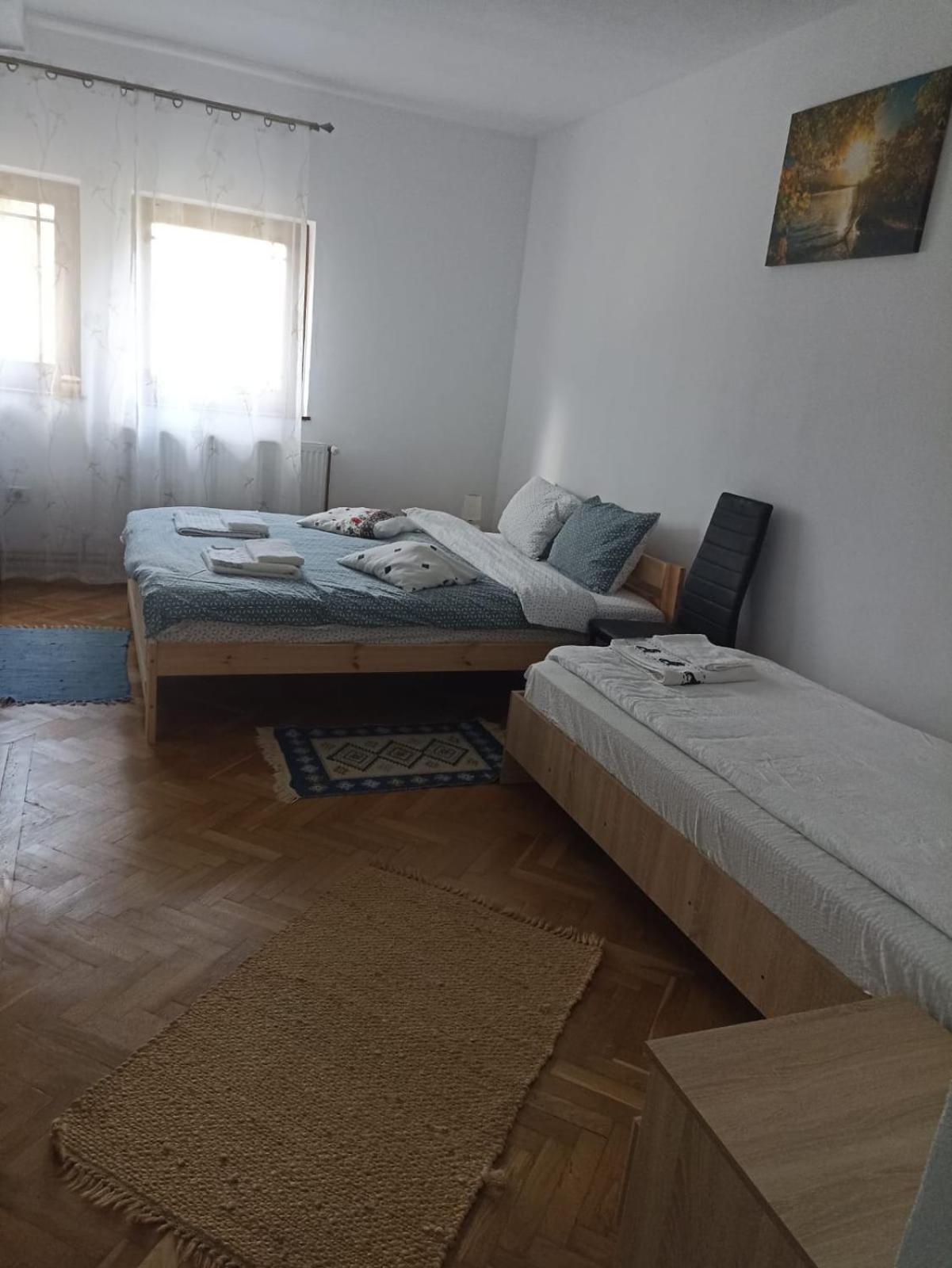 Pensiunea Costesti Zewnętrze zdjęcie