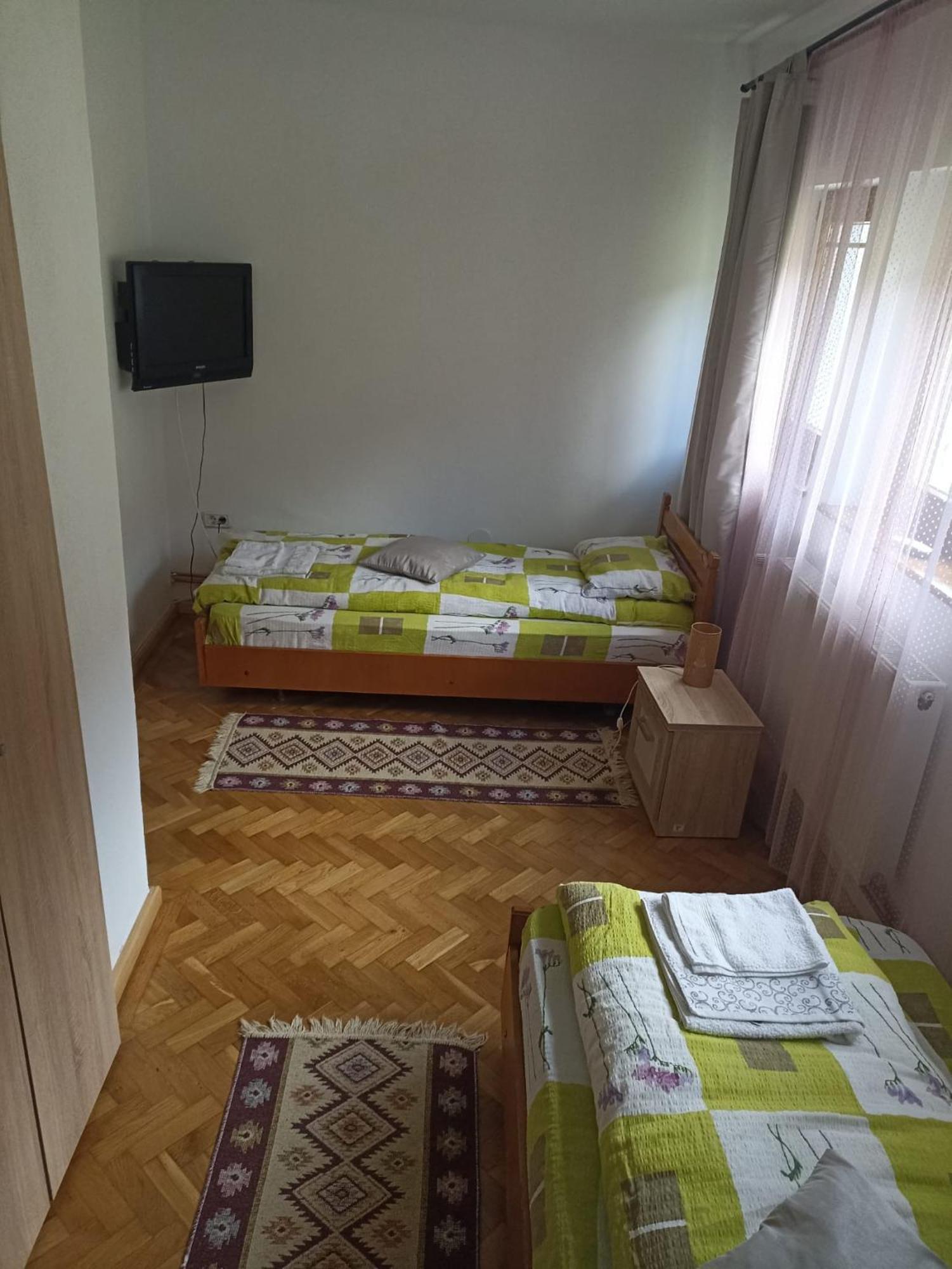 Pensiunea Costesti Zewnętrze zdjęcie